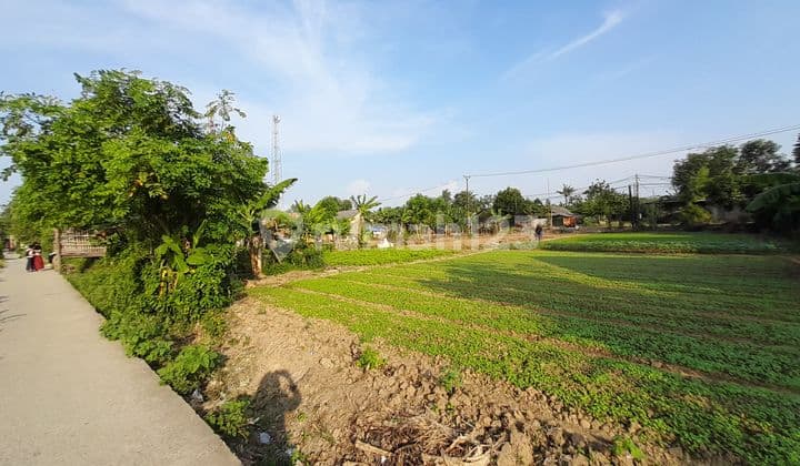 Dijual Tanah di Babelan Cocok Untuk Cluster, Workshop, Gudang, Resto Atau Bisnis Lainnya