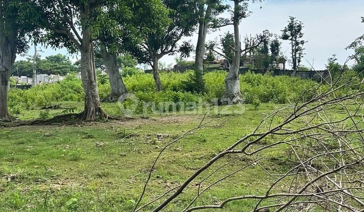Tanah Dijual/ Disewakan Di Uluwatu - Pecatu