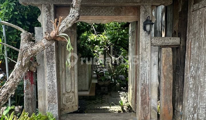 Rumah Joglo Lingkungan Tenang Disewakan Tabanan