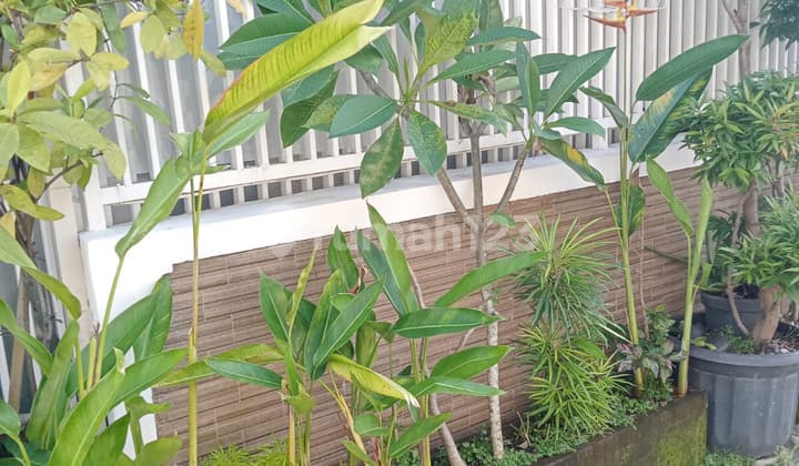 Rumah Minimalis di Tengah Kota Denpasar Dijual