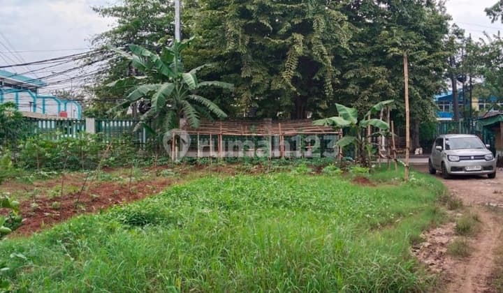 Pegangsaan Dua Raya Plot