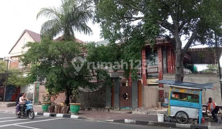 Rh Corner Plumpang .swamp Rhino