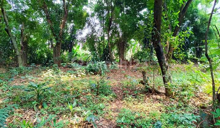 Dijual Tanah Kavling Siap Bangun Di Sawangan Depok