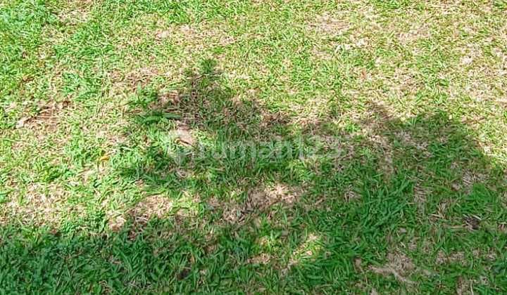 Dijual Tanah Siap Bangun Lokasi Cocok untuk Cafe Outdoor Hidden Gem Dijagajarsa Jakarta Selatan