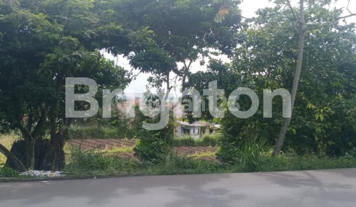 TANAH SAWAH DI JALAN KH SHOLEH ISKANDAR PARUNG BOGOR