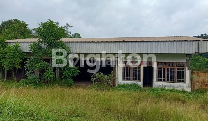 TANAH DI PANDEGLANG EXIT TOL SERANG TIMUR BANTEN