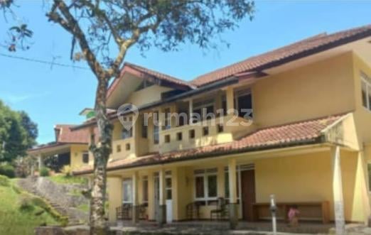Villa yang Asri Kawasan Megamendung Bogor
