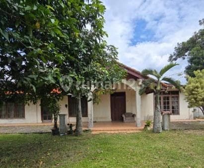 Rumah Luas Asri Diparung Bogor