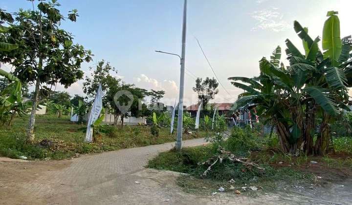 TANAH SIAP BANGUN KOST EXCLUSIVE DI UNDIP TEMBALANG LOKASI BULUSAN TEMBALANG