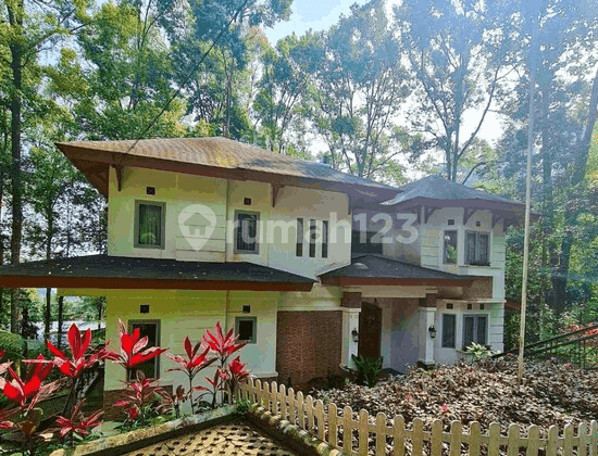 Dijual Villa Eksklusif di Puncak Megamendung Fully Furnished #268047