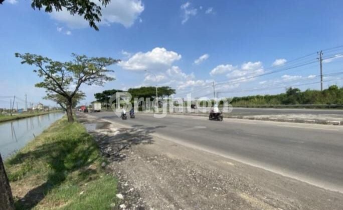 SAYUNG TANAH 10 HA ZONA INDUSTRI STRATEGIS PINGGIR JALAN PROTOKOL PANTURA SEMARANG DEMAK