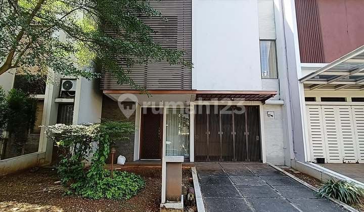 Rumah Dengan Halaman Belakang Luas Bagus Shm Di The Green Bsd