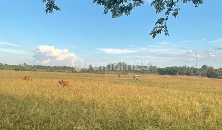 Dijual Tanah Strategis di Jl. Poros Barru