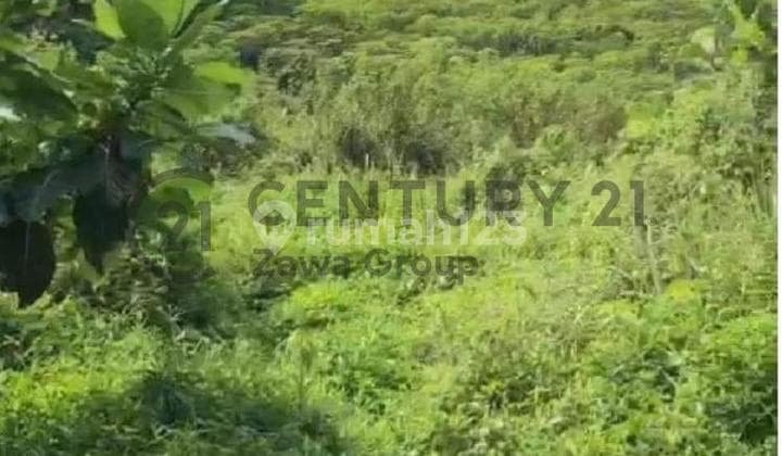 Dijual Tanah Lokasi Strategis Di Sentul Hambalang Bogor