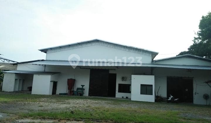 Warehouse for sale in Wareng Gubug Hamlet, Demak Regency.