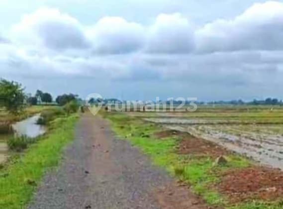 Tanah di Pelabuhan Internasional Patimban