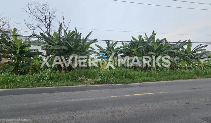 JUAL KAVLING PUTAT LOR