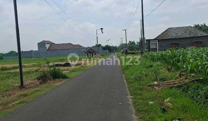 Tanah Dlanggu Mojokerto Stategis Selangkah Dari Jalan Provinsi