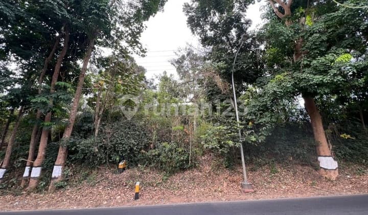 Dijual Tanah Luas 1,2 Ha Lokasi Gunungpati Semarang