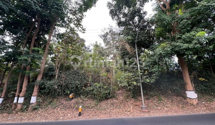 Dijual Tanah Luas 1,2 Ha Lokasi Gunungpati Semarang