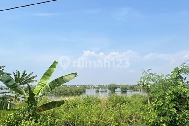 Tanah Luas 30.300 M2 Lokasi Pelabuhan Kendal Tanah Luas 30.300 M2 Lokasi Pelabuhan Kendal