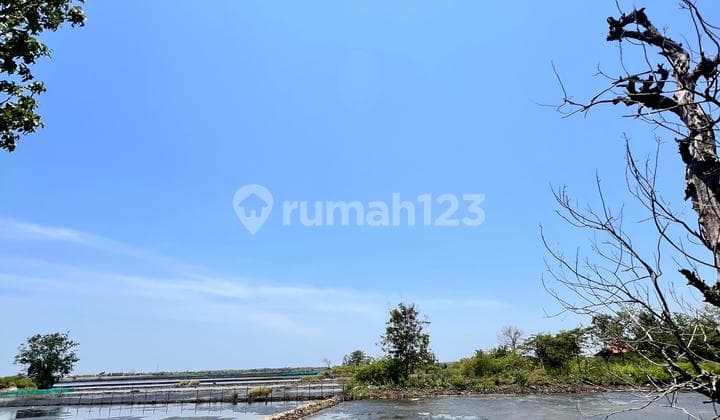 Dijual Tanah Luas Lokasi Kawasan Industri Jl. Wonosari Kendal