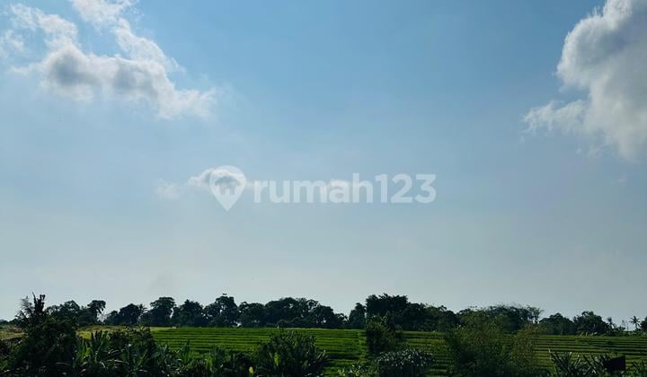 Tanah Dekat Canggu Luna Beach Nuanu Kedungu Full View Heaven Tanah Dekat Canggu Luna Beach Nuanu Kedungu Full View Heaven