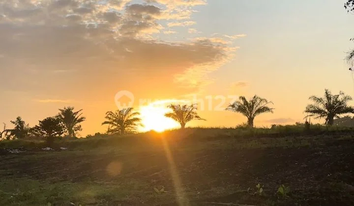 Tanah Dekat Canggu Luna Beach Nuanu Kedungu Full View Heaven Tanah Dekat Canggu Luna Beach Nuanu Kedungu Full View Heaven