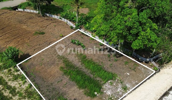 Dijual Tanah Kedungu View Sawah