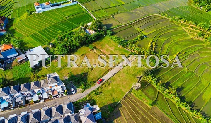 Tanah Tumbak Bayuh Munggu Lingkungan Villa