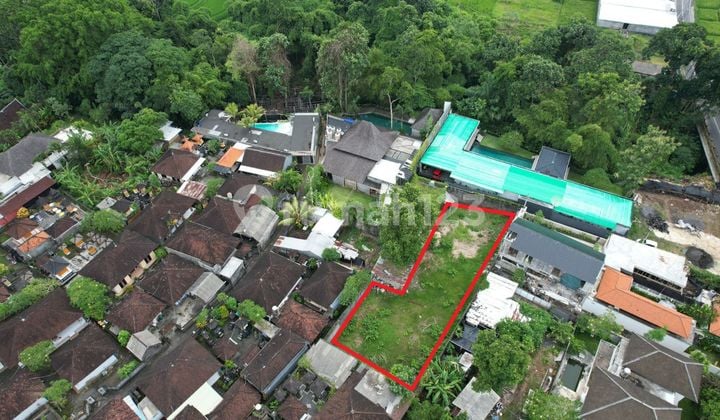 Land For Lease Tumbak Bayuh Pererenan