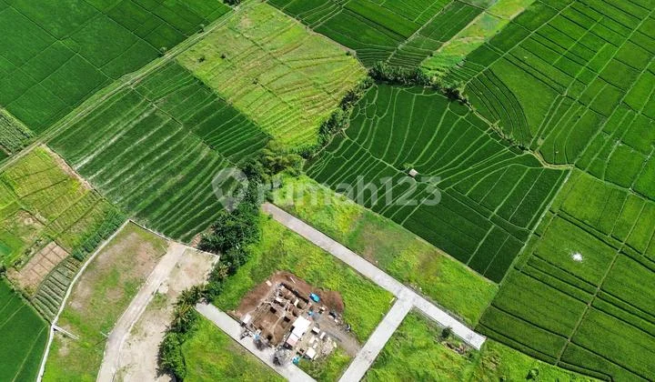 Tanah Kedungu Dekat Canggu Nuanu Luna Beach Club