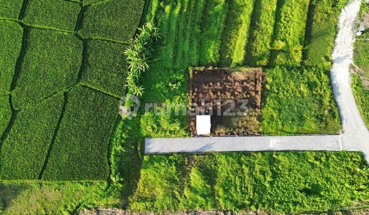 Tanah Kedungu Belalang Siap Bangun Villa