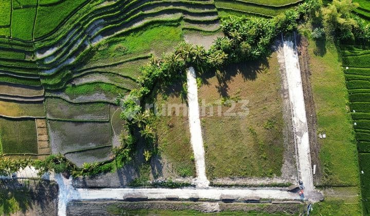 Tanah Peruntukan Villa Dekat Canggu, Pererenan, Cemagi, Nyanyi, Pantai Kedungu