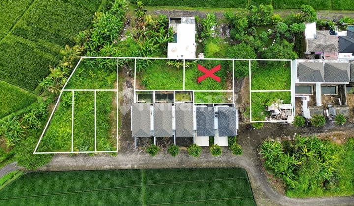 Land near Canggu Pererenan with permanent rice field views and sunset.