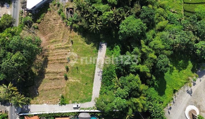 Tanah Pererenan Nyanyi 300m2 315m2 Kedungu Siap Bangun