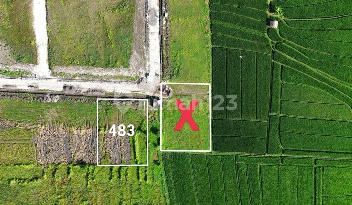 Tanah Canggu Pererenan Pantai Kedungu 390m2 442m2