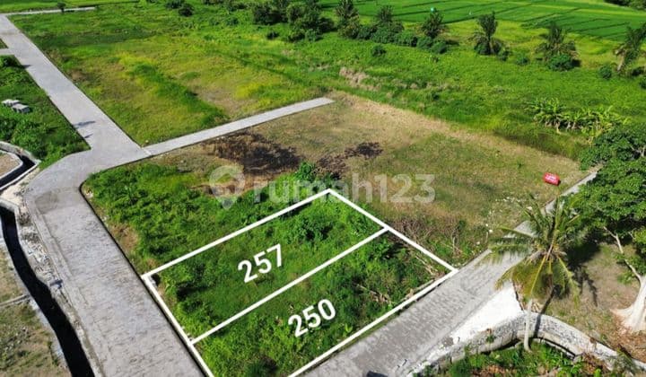 Land For Sale Kedungu One Gate System