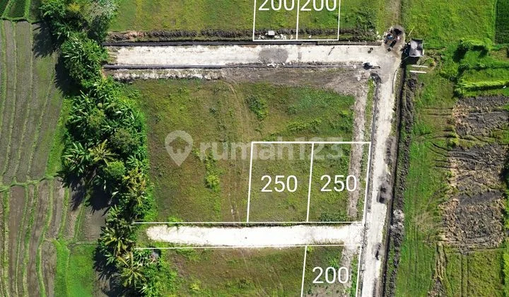 Tanah Dijual Luna Beach Club Nuanu Kedungu Siap Bangun Villa