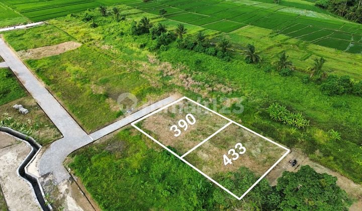 Kedungu dekat CANGGU 390m2 433m2 Suround By The View