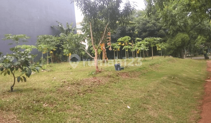 Tanah Kavling Pantai Indah Kapuk 768 m2 Coldwell Banker Indonesia
