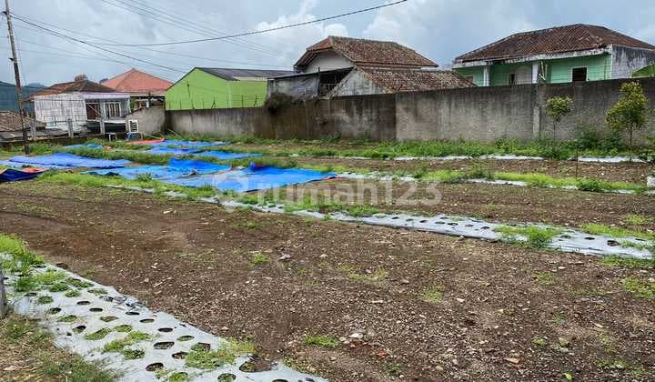 KAVLING LUAS LINGKUNGAN SEJUK NYAMAN SIAP BANGUN DI MAINROAD LEMBANG BANDUNG