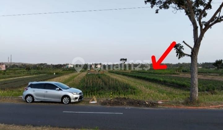 Sawah Dibawah Njop Dekat Bandara Yogya International Airport