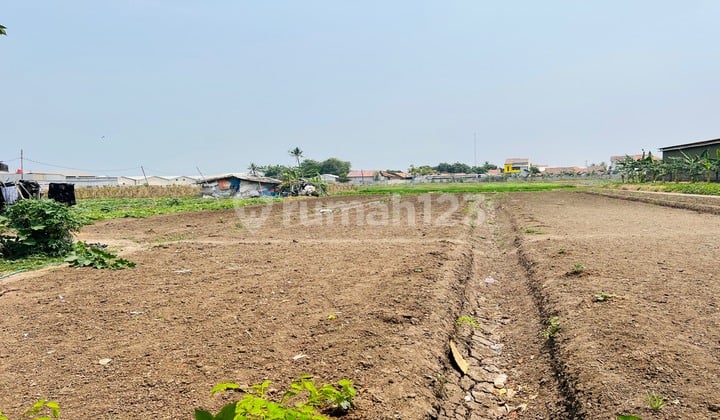 Tanah Atau Kavling Pergudangan Yungsen 19 Bagus Dan Siap Bangun Izin Industri Dan Akses Kontainer 40 Feet