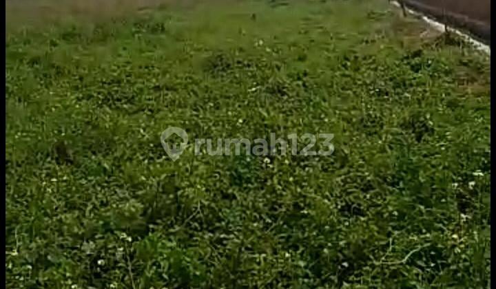 Tanah kosong di bandara soekarno hatta Neglasari bagus dan siap pakai