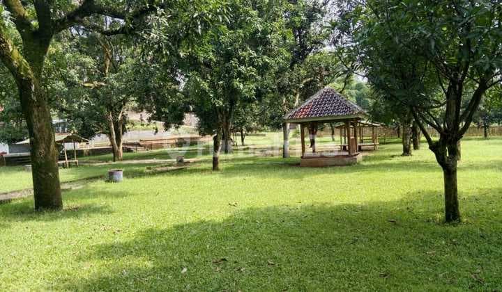 Villa Dan Cafe Yang Ada Kebun Mangga Di Majalengka