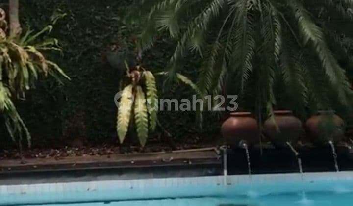 Rumah Nyaman Ada Kolam Renang Di Daerah Ragunan Jakarta Selatan