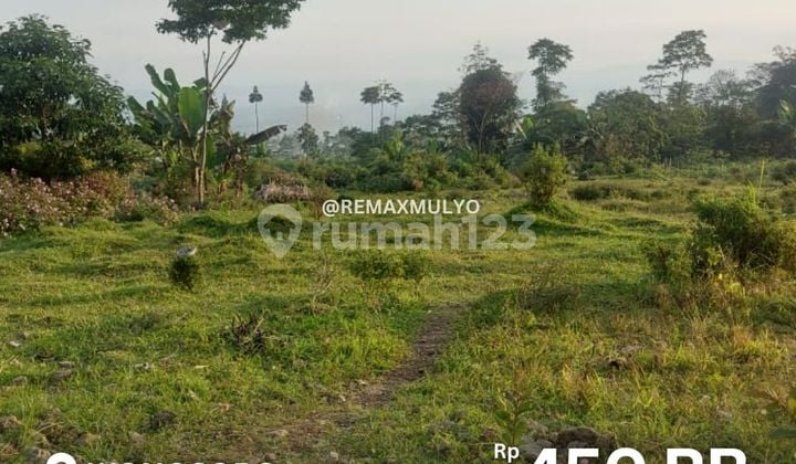 For Sale: 1 Hectare Land with Good View, Suitable for Accommodation For Sale: 1 Hectare Land with Good View, Suitable for Accommodation