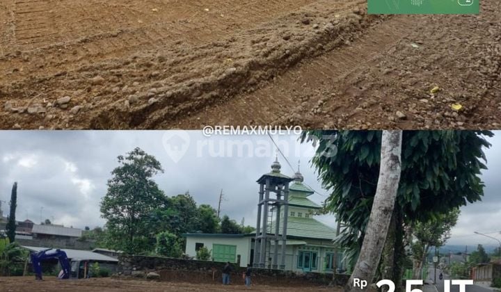 For Sale Land Strategic Location Wonosobo Area For Sale Land Strategic Location Wonosobo Area