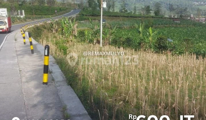 For Sale, Land Along the Main Road, Wonosobo Area For Sale, Land Along the Main Road, Wonosobo Area
